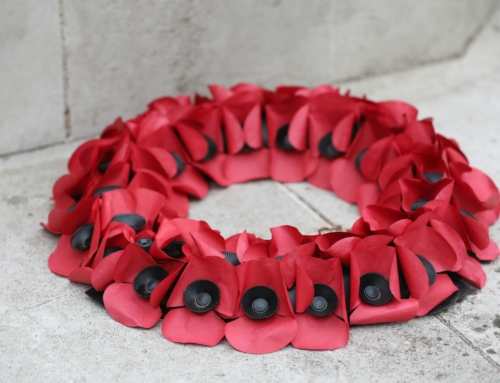 A Fragile Yet Steadfast Hope – Weekly Reflection (09/11/2025)