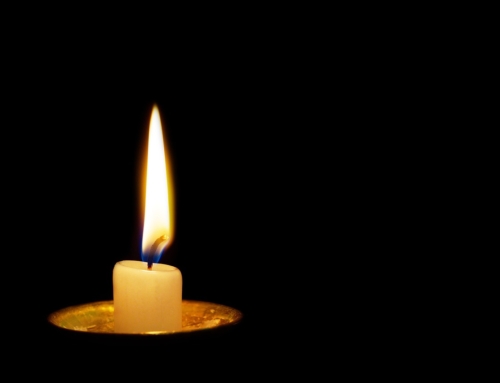 Joy for the Whole World, Hope for Every Heart – Weekly Reflection (14/12/2025)