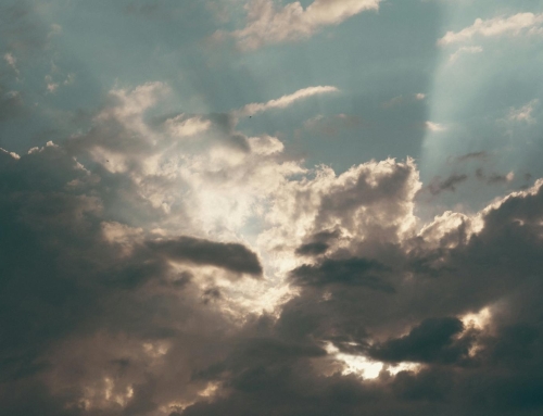 Reflection: Seventh Sunday of Easter (17 May 2026)