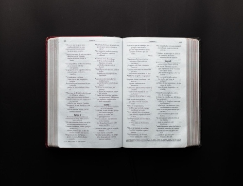 Reflection: First Sunday after Trinity (7 June 2026)