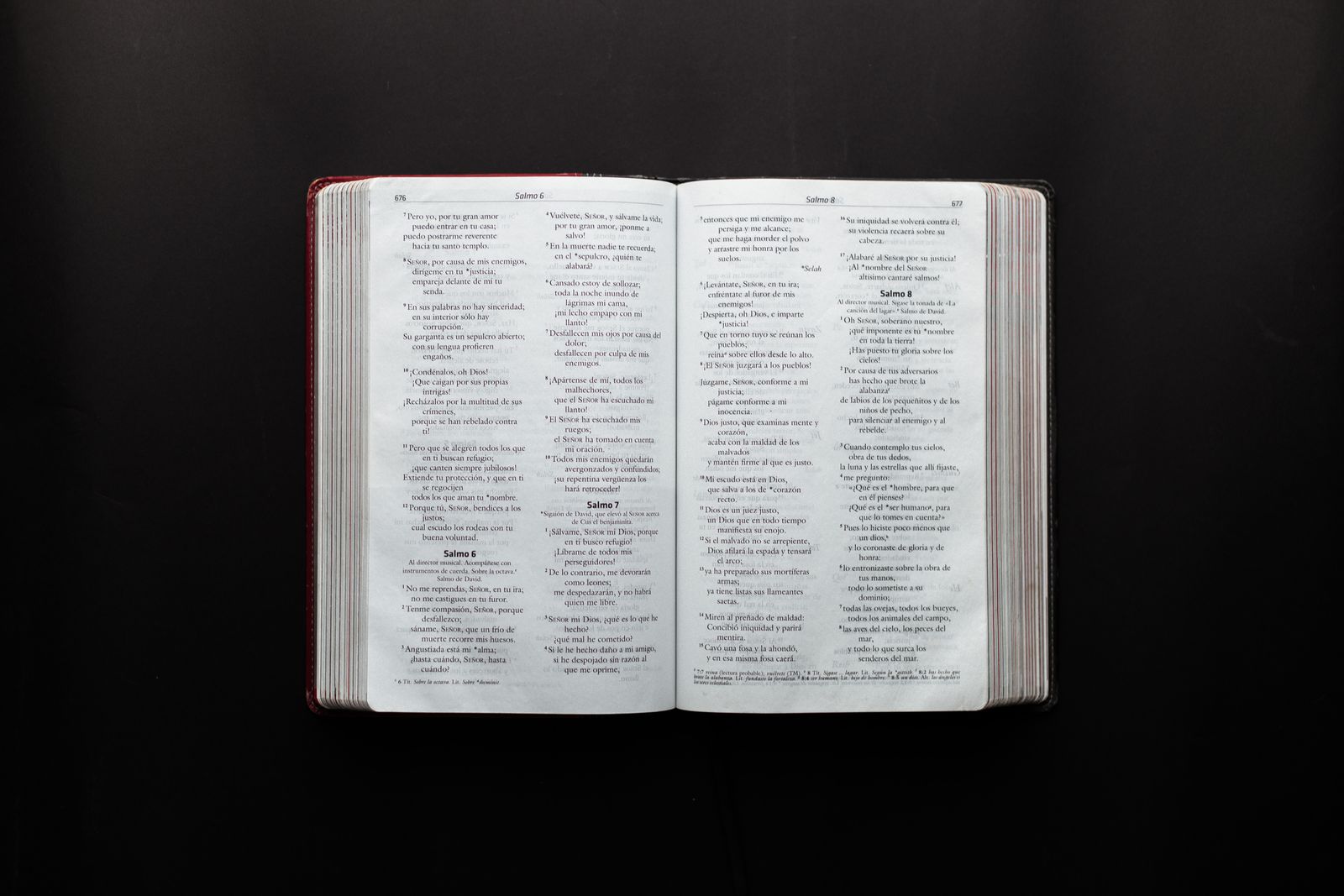 An open Bible